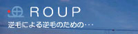 2ch��Ragnarok Online�{�ڔ�ۺ�